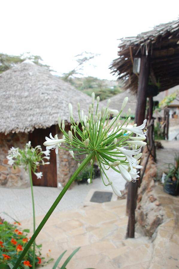 Osoita Lodge Nairobi Luaran gambar
